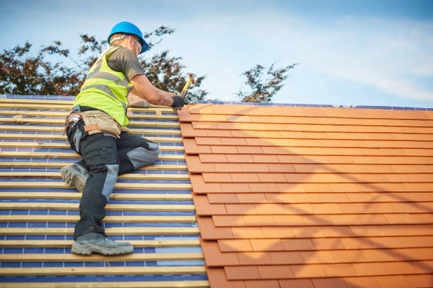 Best Solar Panel Roofing Installation  in Montpelier, OH